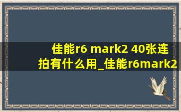 佳能r6 mark2 40张连拍有什么用_佳能r6mark2连拍40张需要v90卡吗